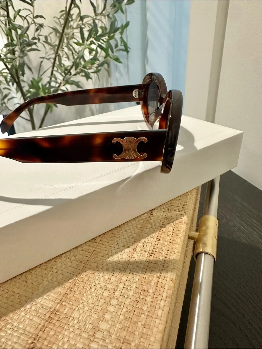 Celine triomphe 01